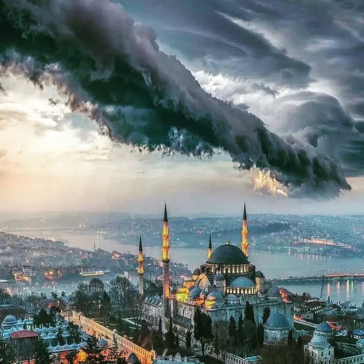 Arıkan Güvenlik Referans